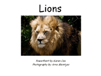 Emergent Reader