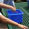 Pre-K Ocean Theme