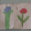 Plant Theme