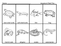 Aquarium Field Trip