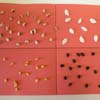 Science Portfolios