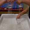 Pre-K Sensory Table