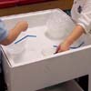 Pre-K Sensory Table