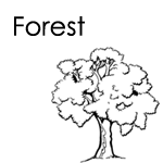 Forest Theme
