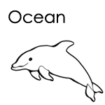 Ocean Theme