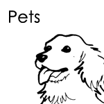Pets Theme