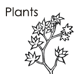 Plants Theme