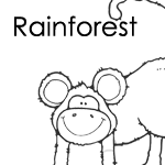 Rainforest Theme