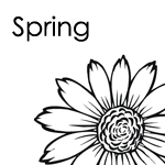 Spring Ideas Preschool