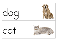 Pet Word Cards