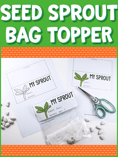 Sprouting A Seed Bag Topper Printable Prekinders