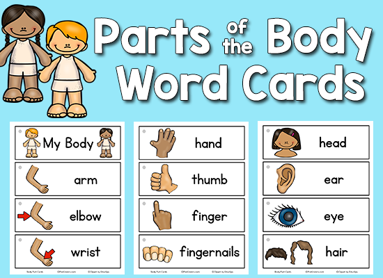 Body Parts Picture-Word Cards - PreKinders