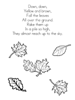 fall the leaves