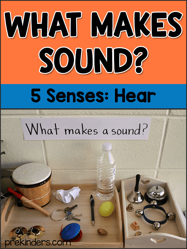 What Makes Sound: Science for Preschool