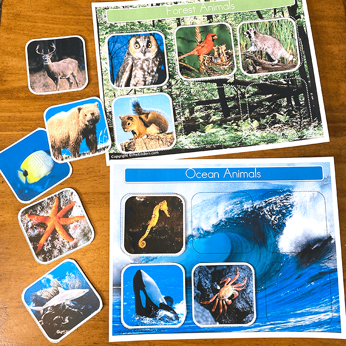 ocean picture sort