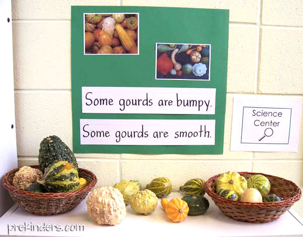 Gourds Science Center Display