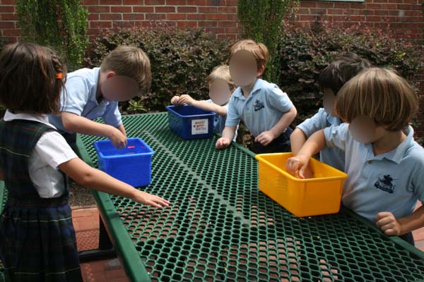 Float and Sink Preschool Science Experiment