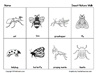 Insect Nature Walk Checklist