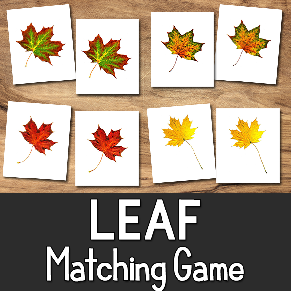 Leaf Matching Cards Printable