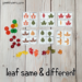 Leaf Matching & Visual Discrimination Games - PreKinders Preschool ...