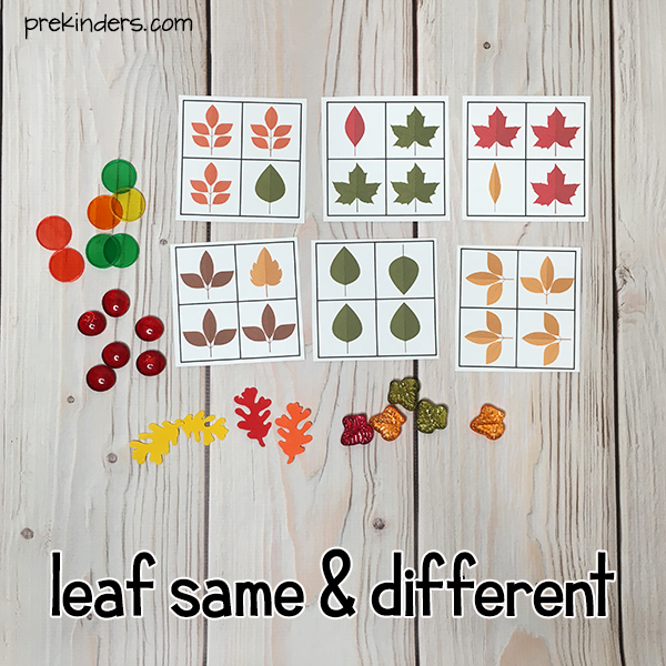 Leaf Same and Different Game