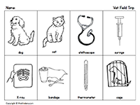 Vet Checklist