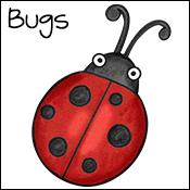 bugs & insect activities