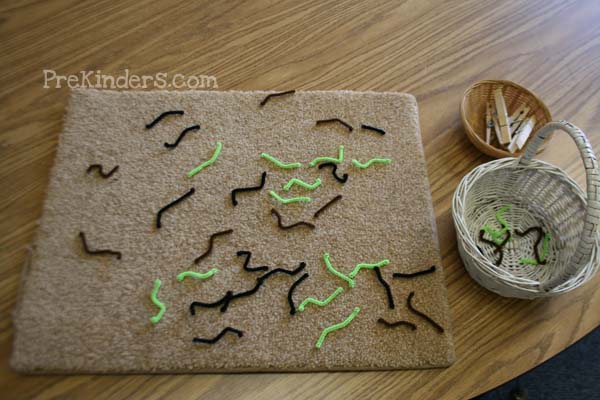 pipe cleaners & clothespins