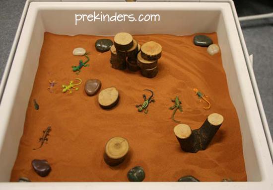 Lizards in the Sensory Table