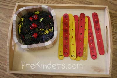 ladybug counting
