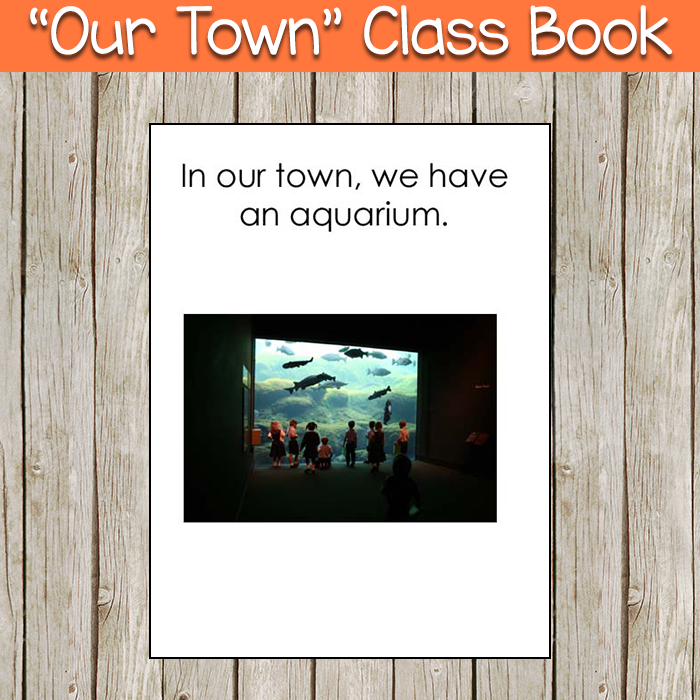 Our Town Class Book