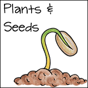 plants & seed activities