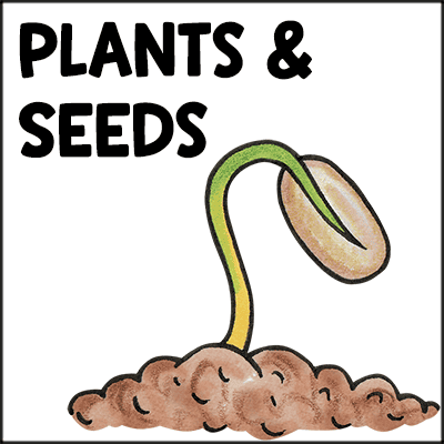 plants & seed activities