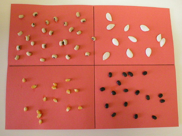 Sorting seeds