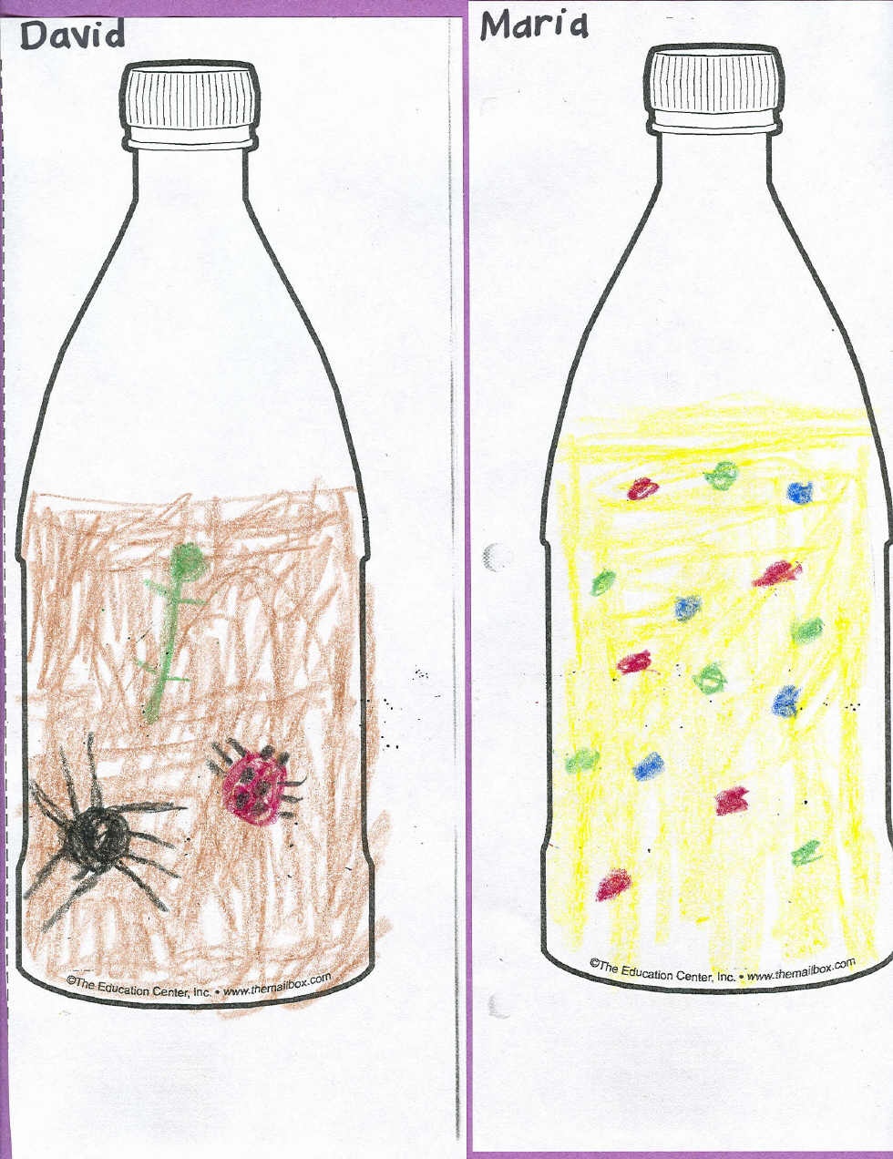 Discovery bottle observation drawing
