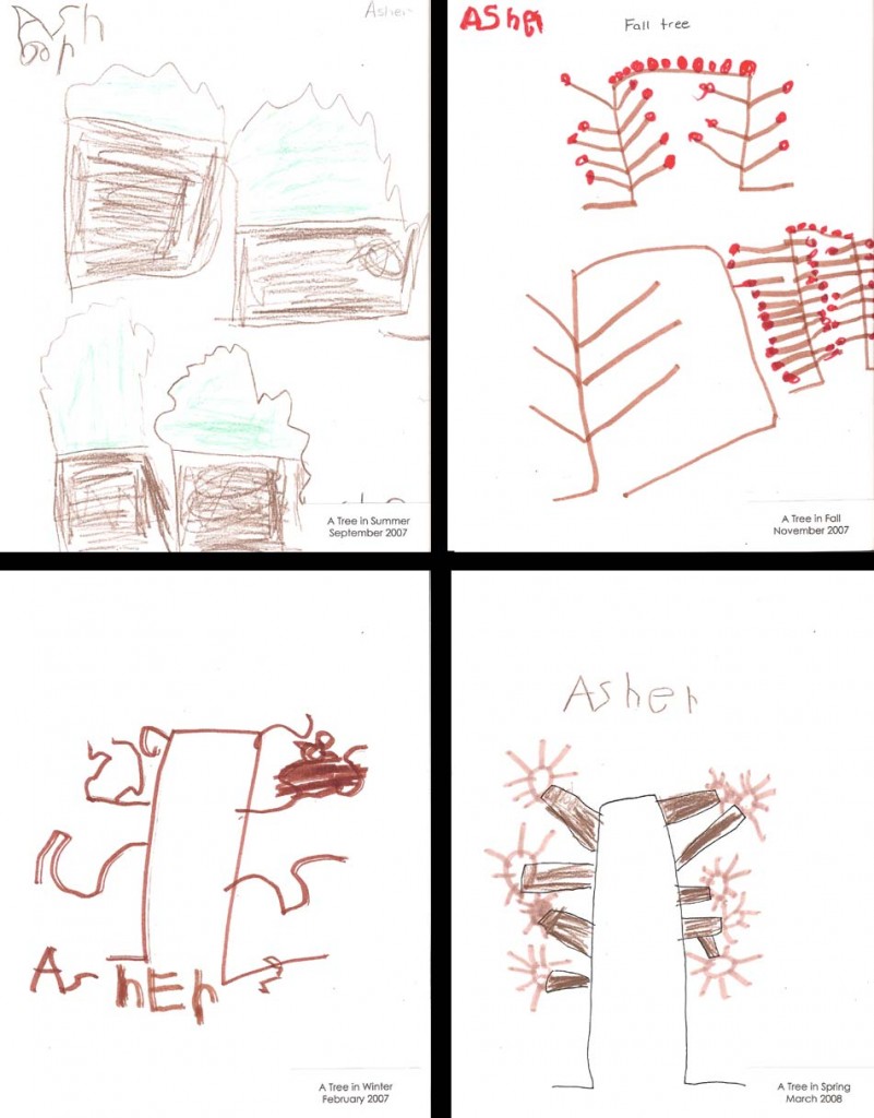 Pre-K Science Portfolios - PreKinders Preschool Activities