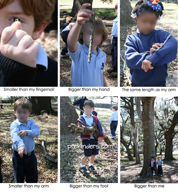 Size Hunt Outdoor Learning