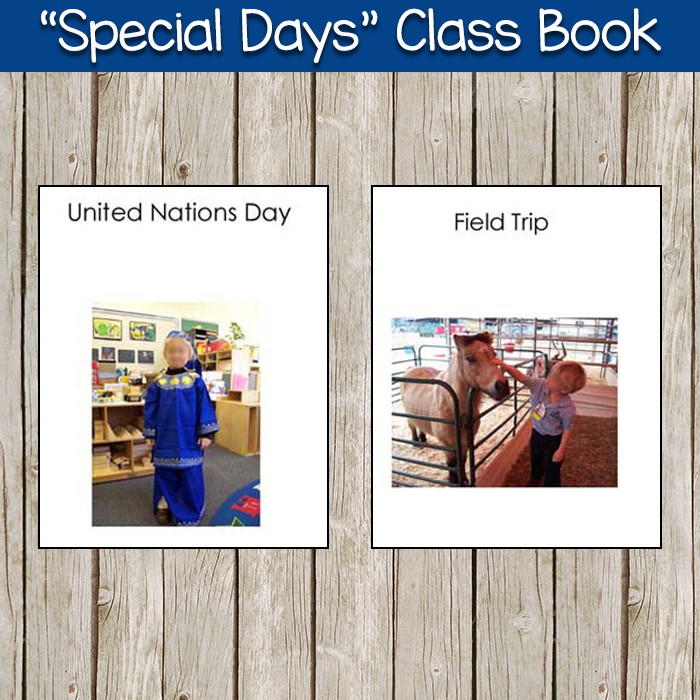 Special Days Class Books