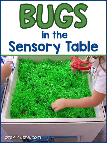 Bugs Sensory Table