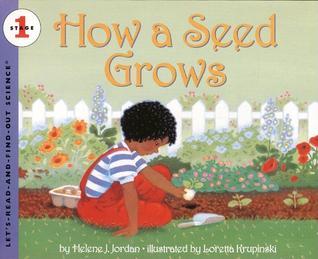 how a seed grows