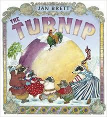 turnip jan brett