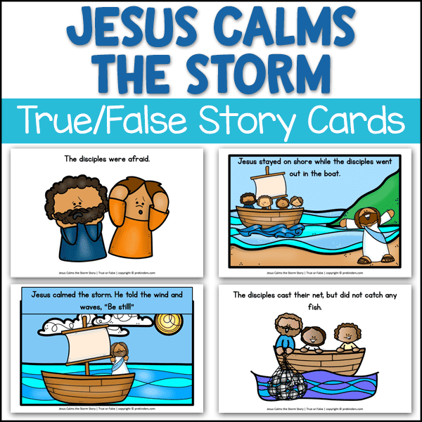 Jesus Calms the Storm story cards true or false