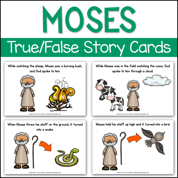 Moses Bible Story True False Cards