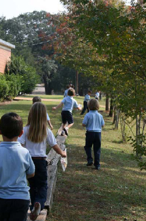 Leaf Hunt in Preschool