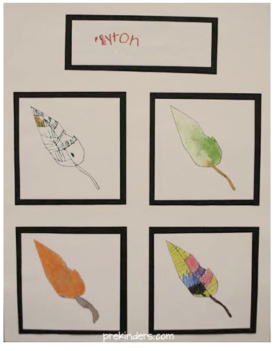 Leaf Drawing in Pre-K & Preschool