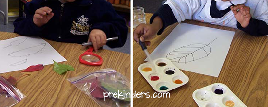 Leaf Drawing in Pre-K & Preschool