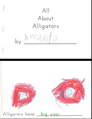 Alligator Book