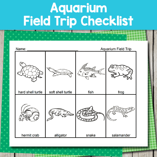 aquarium field trip