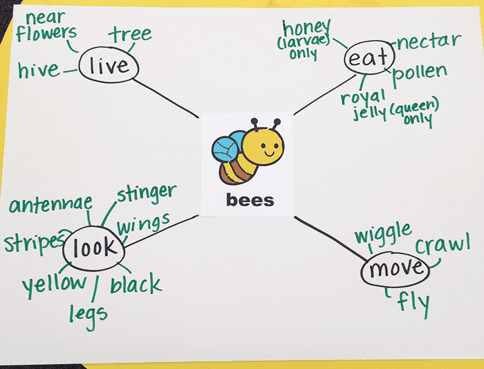 Bee Chart Science Circle Time