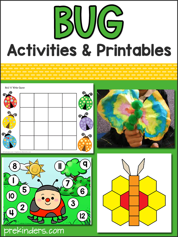 Preschool Science. 22 Laminated Preschool Bugs and Insects Flashcards 